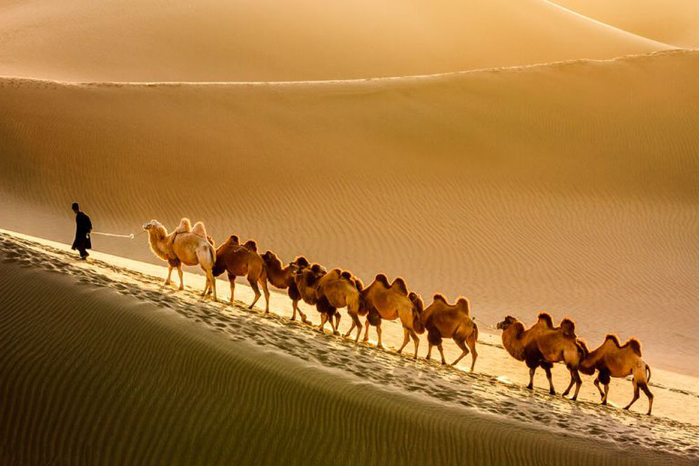 travel on the silk road